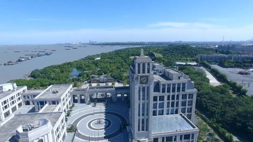 滬上力量再集結，數字創意賦新能——上海市紅色文化傳播志愿服務聯盟在寶山成立